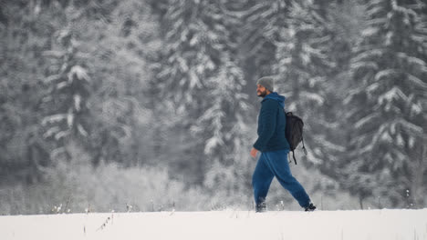 Person-walking-in-the-forest