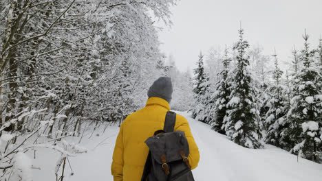 Person-walking-in-the-forest