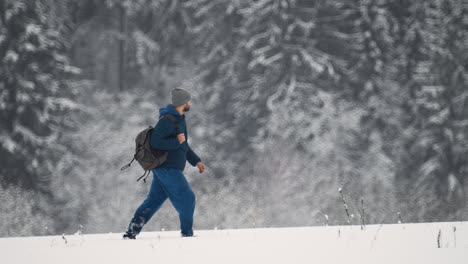 Person-walking-in-the-forest