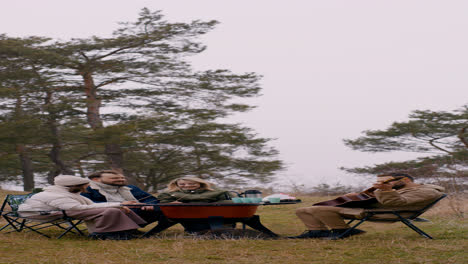 People-having-picnic