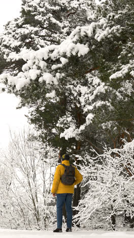 Backpacker-Im-Schnee