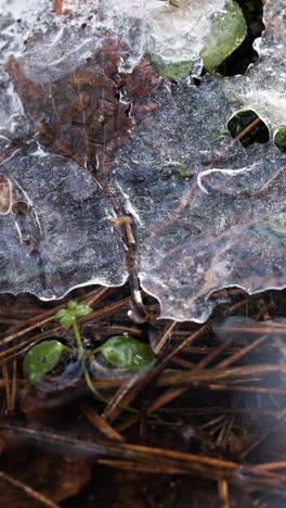 Ice-block-and-sticks-in-river