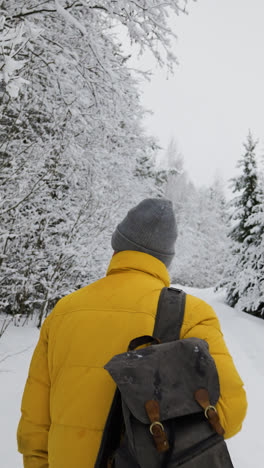 Person-walking-in-the-forest