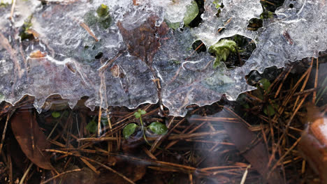 Bloque-De-Hielo-Y-Palos-En-El-Río