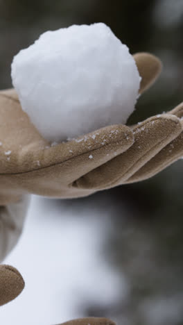 Person-playing-with-snow