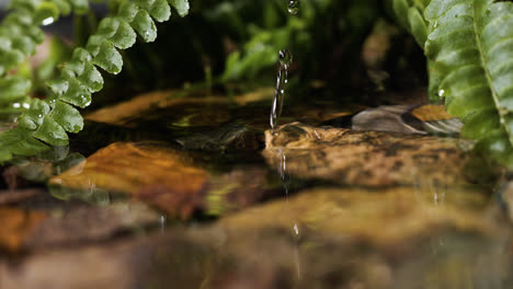 Plants-in-the-riverside