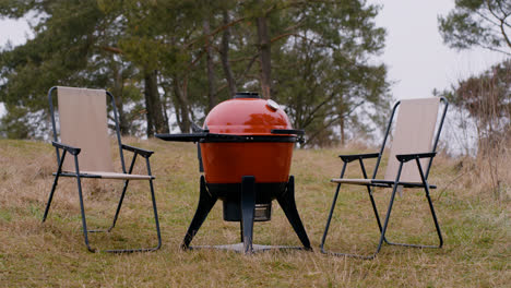 Parrilla-De-Barbacoa-Al-Aire-Libre