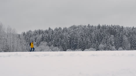 Person-walking-in-the-forest