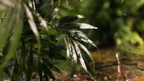 Plantas-En-La-Orilla-Del-Río