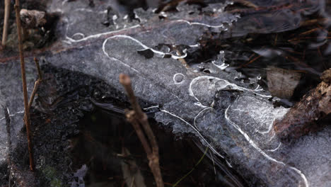 Bloque-De-Hielo-En-El-Río