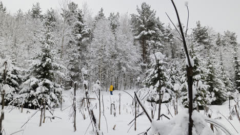 Backpacker-on-the-snow