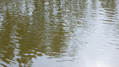 Lago-En-La-Naturaleza