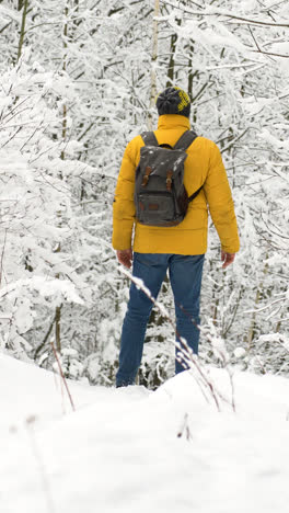 Backpacker-Im-Schnee