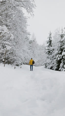 Person-walking-in-the-forest