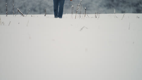 Person-walking-in-the-forest