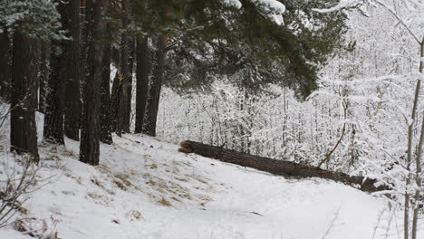 Fotograf-Auf-Dem-Schnee