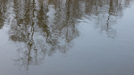 Lago-En-La-Naturaleza