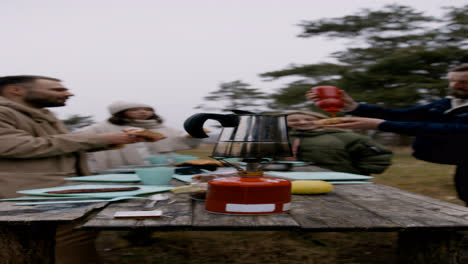 People-having-picnic