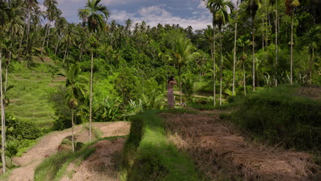 Dame-Im-Kleid-Geht-Spazieren-Und-Erkundet-Die-Reisterrassen-Von-Tegalalang,-UNESCO-Welterbestätte-Auf-Bali