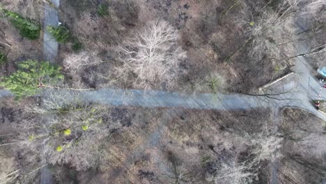 Aerial-top-view-of-Winter-Woods-in-Weesen,-Switzerland