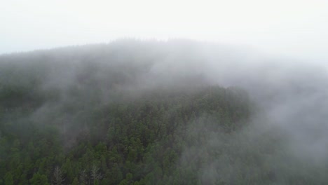 Drone-flight-through-low-clouds-over-a-forested-valley-in-Wales