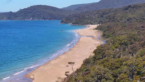 Playa-Tropical-De-Arena-Dorada-Y-Bosque-Selvático-Nativo.