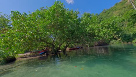 FPV-Drohnenflug-Durch-Tropischen-Mangrovenwald-über-Booten-Und-Unter-Bäumen
