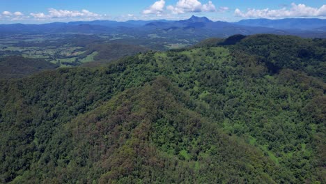 Grüner-Regenwald-Im-Currumbin-Valley-An-Der-Gold-Coast,-Queensland,-Australien---Aerial-Orbit