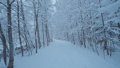 POV-video-of-a-walk-through-deep-white-snow-in-Lauterbrunnen,-Switzerland,-during-a-gentle-snowfall