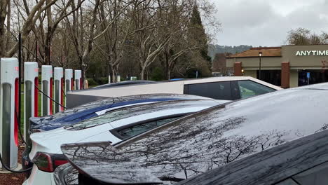 Medium-shot-over-backs-of-electric-vehicles-all-connected-at-charging-station