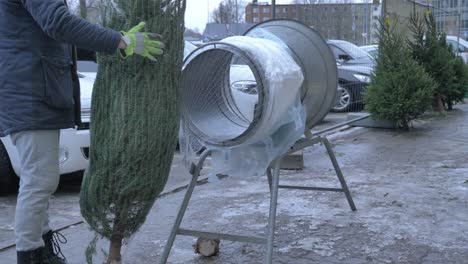 close-up-of-Christmas-tree-sold-on-parking-lot,-worker-puts-it-ready-for-buyer