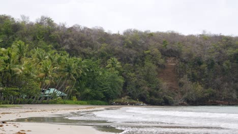 Tropical-beach-with-lush-foliage-on-overcast-day,-no-people-visible,-calm-ocean-waves
