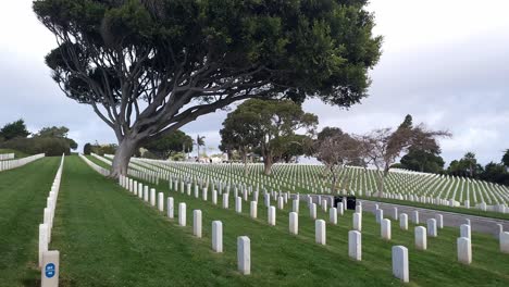 Fort-Rosecrans-National-military-cemetery-for-veterans,-pan-right-view