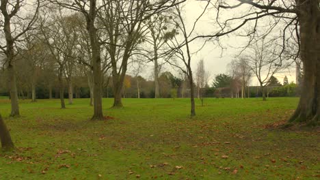 Empty-park-area-for-walks-at-National-Botanic-Gardens-in-winter-during-fall-at-Dublin,-Ireland
