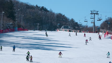 Korean-People-Skiing-on-Piste-at-Alpensia-Resort