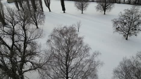 Walensee-Switzerland-reveal-flight-over-the-trees-of-forest-park