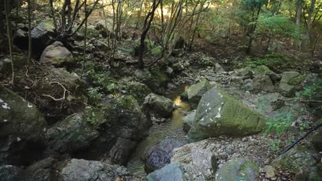 Valle-Montañoso-Japonés-Con-Arroyo-Que-Fluye-A-Través-De-La-Naturaleza-Virgen-4k
