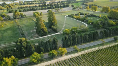Aerial-establishing-shot-of-trees-and-vineyards-in-the-French-countryside
