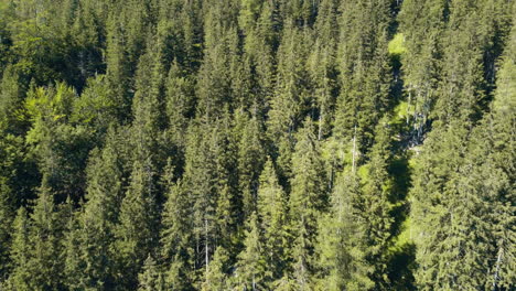 Aerial-drone-shot-of-the-Austrian-Alps-forest,-nestled-near-the-serene-Lake-Hallstaetter