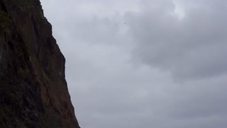 Majestic-cliffside-in-Iceland-with-birds-soaring-under-overcast-skies,-evoking-a-serene-and-wild-atmosphere