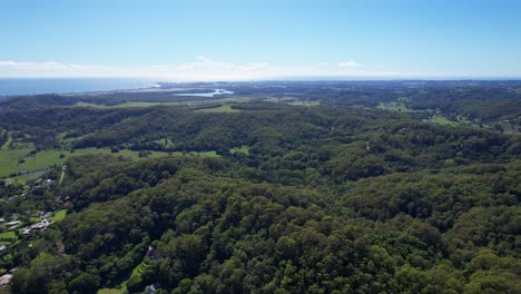 Luftaufnahme-Dichter-Regenwaldbäume-Im-Currumbin-Valley,-Queensland,-Australien---Drohnenaufnahme