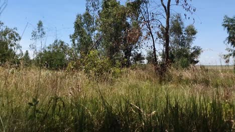 Deforestación-En-La-Porción-9,-Lapso-De-Tiempo-De-Movimiento-De-Aston-Lake