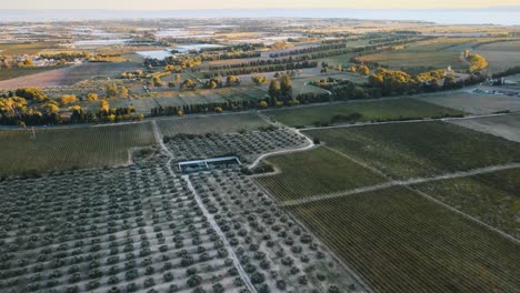 Aerial-establishing-shot-of-multiple-vineyards-in-the-French-countryside