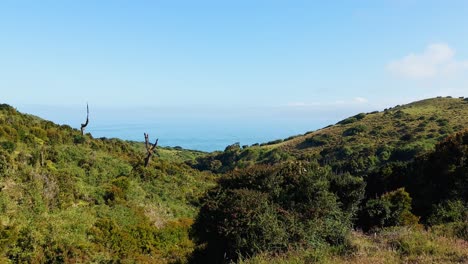 Green-Bush-Mountain-Landscape-With-Ocean-Views-On-Horizon,-Cucao-Chile,-Static