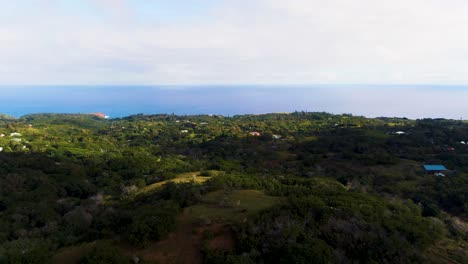 Aerial-flying-over-countryside-in-Hana,-ocean-in-background