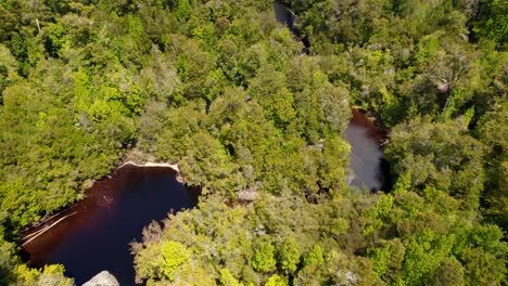 Vista-De-Pájaro-De-Charcos-De-Agua-Rojizos-En-Los-Bosques-Del-Parque-Tepuhueico,-Chiloé,-Chile