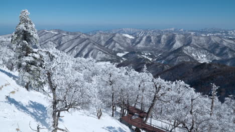 Wooden-Walkway-Trails-in-Snow-Capped-Mona-Park-and-View-of-Baekdudaegan-Mountain-Range-Valley-And-Wind-Turbines-on-Peaks-on-Sunny-Day,-Pan-Slow-Motion