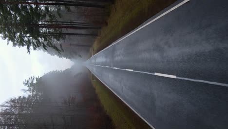Aerial-vertical-fly-over-the-straight-road-in-the-foggy-forest---horror,-dark-scenery-concept