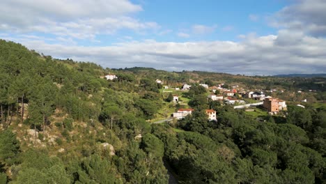 Üppige-Schienbeine-Und-Kastanienblick,-Pereiro-De-Aguiar,-Spanien---Luftaufnahme