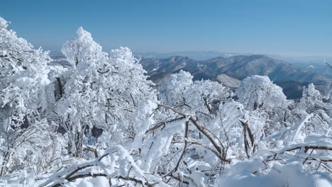 Snow-Covered-Forest---POV-View-From-Mountain-Summit-on-Sunny-Day